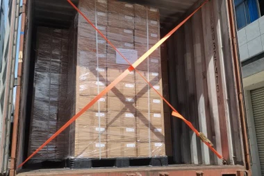 Actualizare de expediere din fabrică: sigilii de containere livrate în Americ...